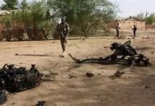 Niger : Sept individus interpellés pour soutien présumé au terrorisme dans la région de Tillabéri