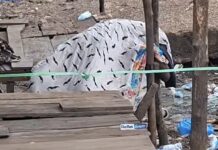 Marché Cosa 1 : un corps sans vie découvert sur une table, l’émoi gagne les commerçants