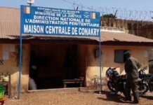 Conakry : le ministre Mohamed Lamine Sy Savané lance une opération historique de démolition à Coronthie